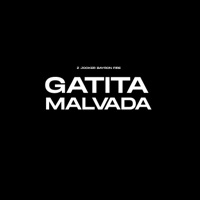 Gatita Malvada - Single - Z Jocker & Bayron Fire