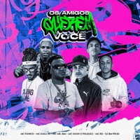 Os Amigos Querem Você (feat. Mc Mr. Bim, MC KAKA RC, MC Guuh o pixadão & Mc Rd) - Single - DJ BM PROD & MC Pânico