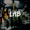 Lab cover art