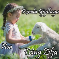 Tring Zilja (feat. Noa) - Single - Rosela Gjylbegu
