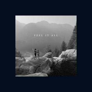 Feel it All - EP