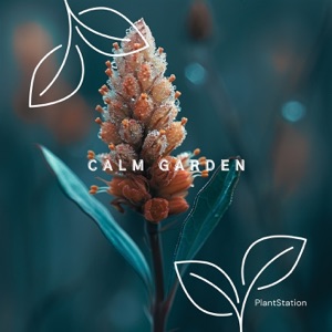 Calm Garden: Ambient 432 for Plant Care