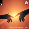 Surrender Your Love (Extended Mix) cover art
