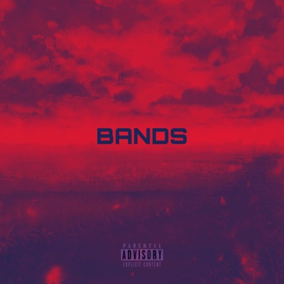 Bands (feat. J Juarez) [Remix] - Single