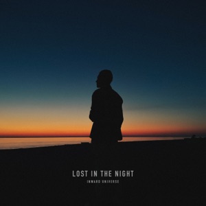 Lost In The Night