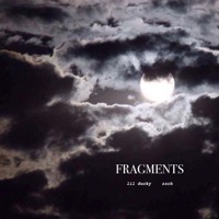 FRAGMENTS - Single - Lil Ducky & zxch