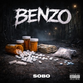 BENZO sobo