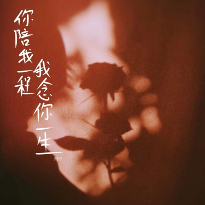 你陪我一程 我念你一生 - EP