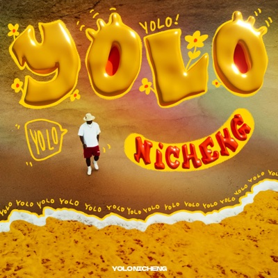 YOLO - Single