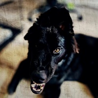 Armani X Bloody Fashion - Single - DXRKGHXUL