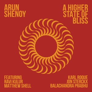 A Higher State of Bliss (feat. Matthew Shell, Ravi Kulur, Karl Roque, Jon Sterckx & Balachandra Prabhu)