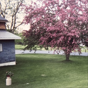 Oh Well, Isabel - Single