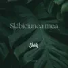 Slabiciunea Mea