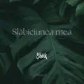 Slabiciunea Mea