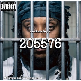 Vinci Flow Ovaeast Drpp