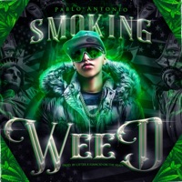 Smoking Weed - Single - Pablo Antonio