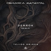 Tejido Origen (Derrok Remix) artwork