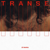 Transe - Zé Ibarra