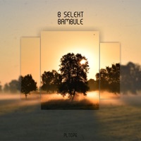 Bambule - Single - B Selekt