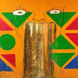 Project X Dome Lettuce