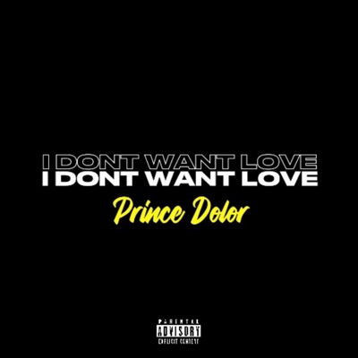 I DONT WANT LOVE - Single