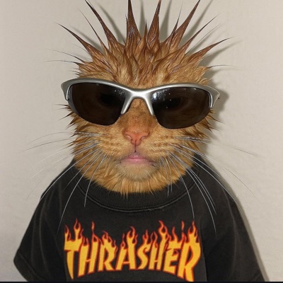 CAN YOU DIG DA HEAT?