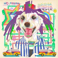 I Have No Friends and I Must Party - James An