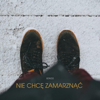 Nie chcę zamarznąć - Single