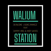 Walium Station (feat. Sammy Abel & Andy Waves) - Single - 30 Bloke & Elbig Raingz