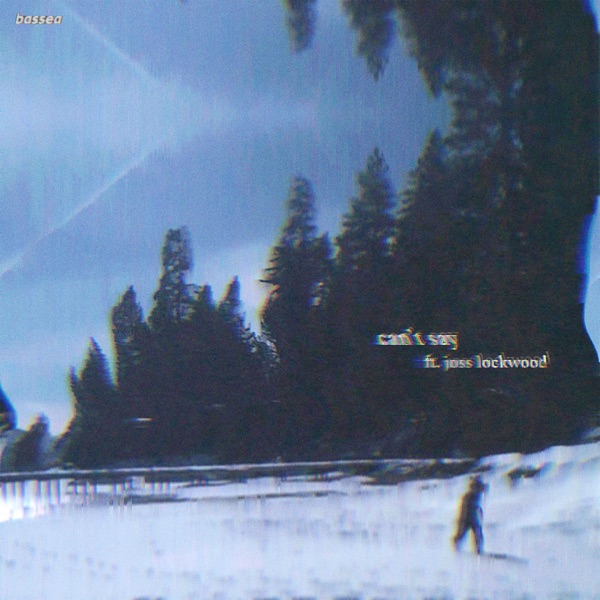 can't say (feat. joss lockwood)