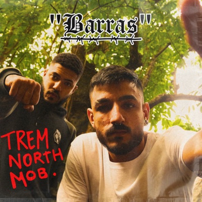 Barras (feat. Brvnx & Mestre do Bairro) - Single