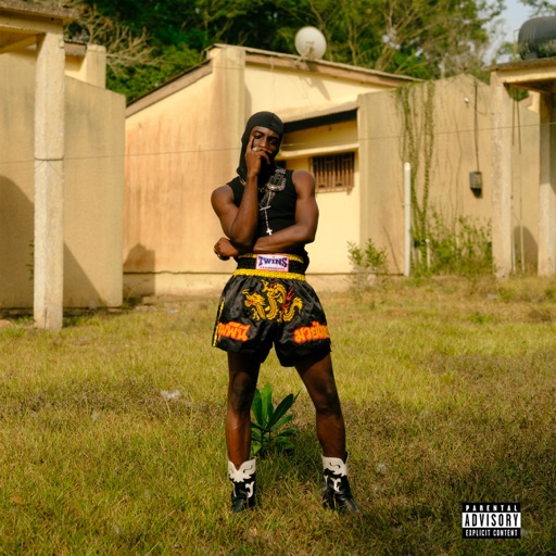 Album artwork