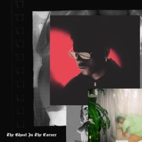 The Ghost In the Corner - Digital Ghost fka bzkt.