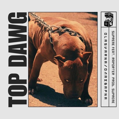 TOP DAWG (feat. Raporter) - Single