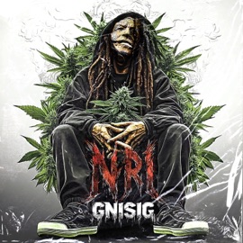 GNISIG NRI