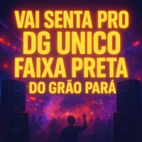 Vai Senta pro Dg Único Faixa Preta do Grão Pará - Single - DJ DG O ÚNICO