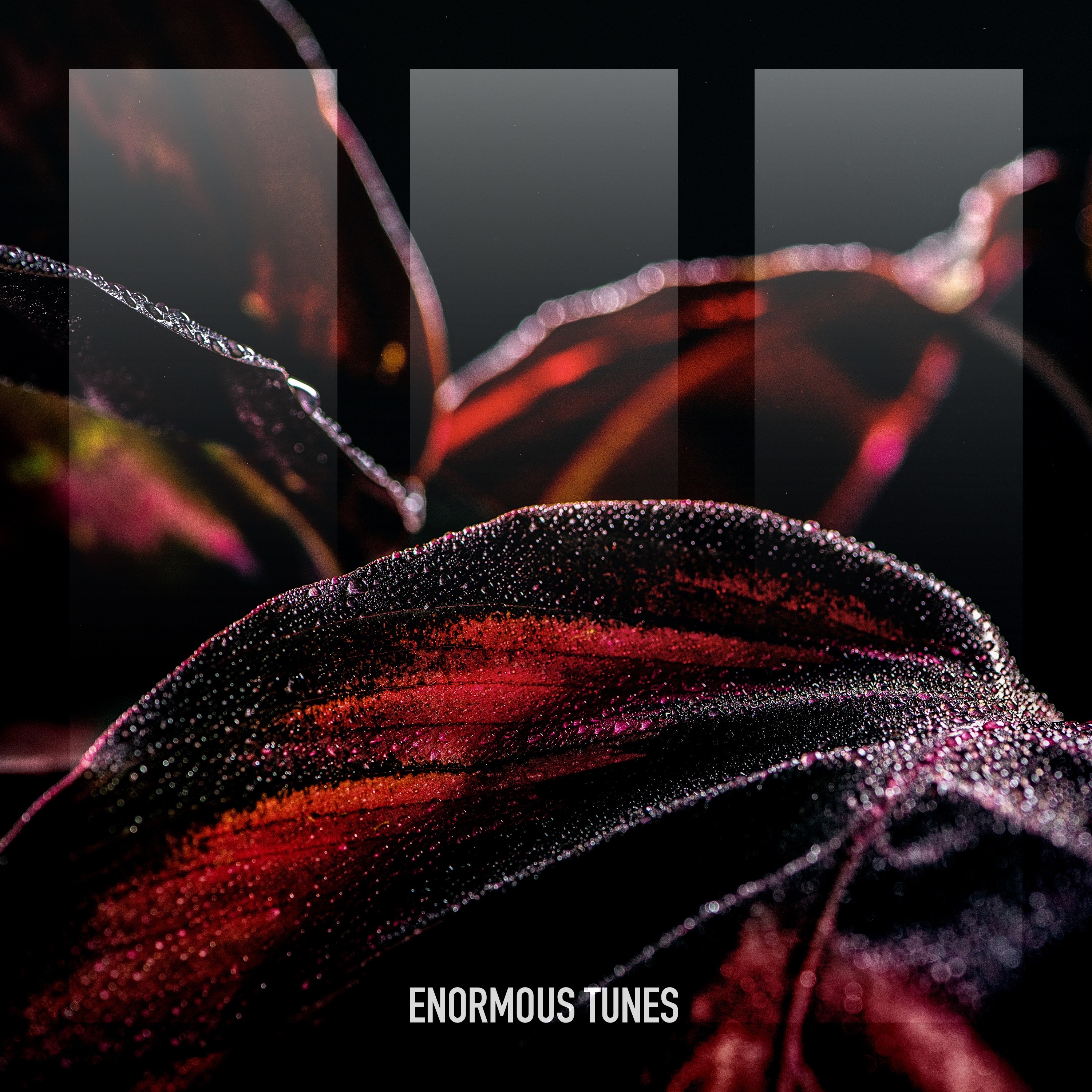 Don't Ever Look Back - Single