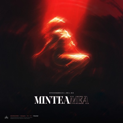 Mintea Mea (feat. RA & RS) - Single