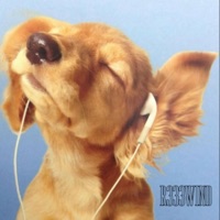 JDXZZLE Presents: R333WIND - Single - JDXZZLE & r3winD