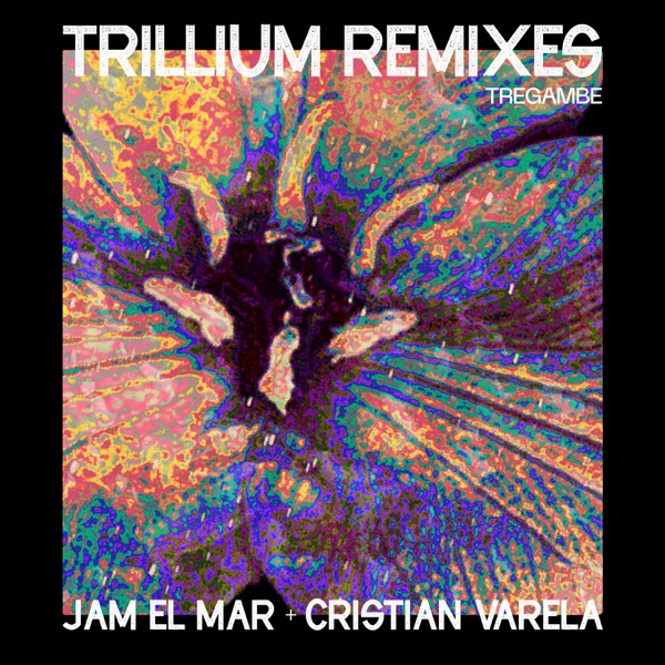 Trillium - Single