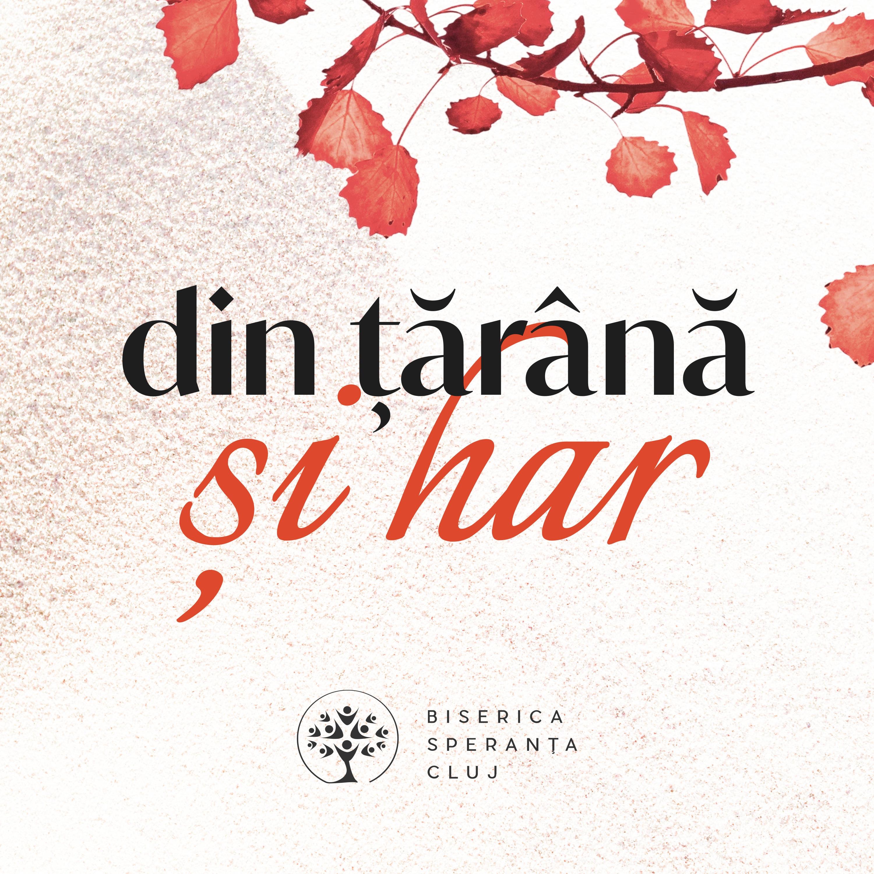 din țărână și har - EP