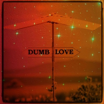 Dumb Love - Single