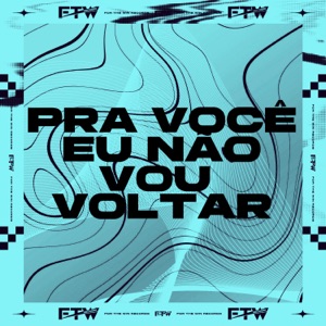 Pra Você Eu Não Vou Voltar