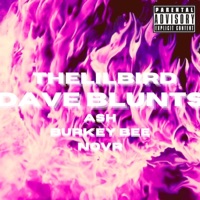 DAVE BLUNTS (feat. ash., Burkey Bee & NOVR) - Single - thelilbird