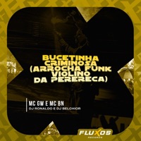 Bucetinha Criminosa (Arrocha Funk Violino da Perereca) - Single - MC GW, MC BN, DJ Ronaldo & DJ Belchior