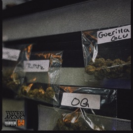 300 MILES FREESTYLE Maije Monroe