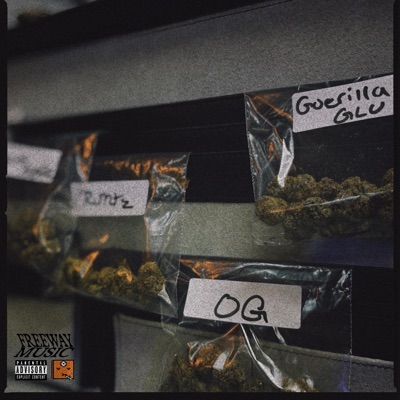300 MILES FREESTYLE - Single