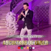 ASCULTARE DE ZAHAR MIEREA ROMANIEI (feat. Razvan Georgesc) artwork