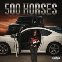 500 horses - Single - Court loww
