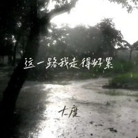 这一路我走得好累 - Single - 红蔷薇 & Dadu